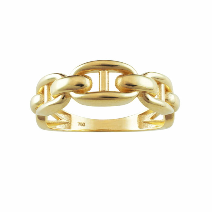 Anillo de enlace oro